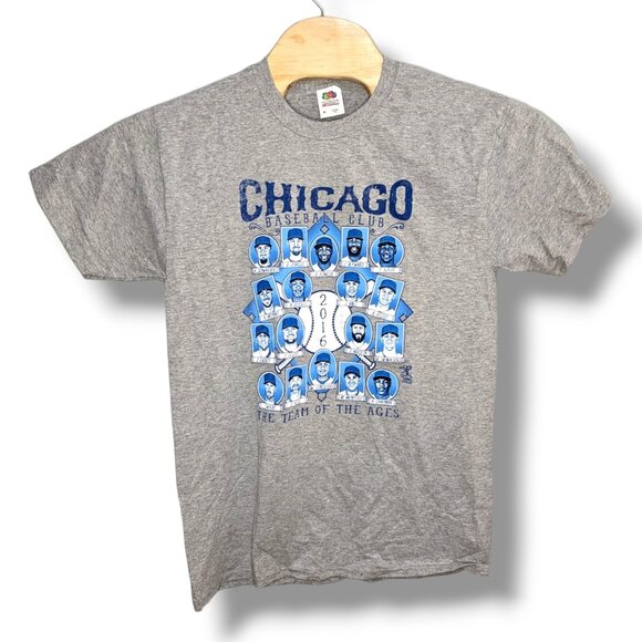 NWT Chicago Cubs World Champ 2016 Heather Gray T-Shirt MLB Size Medium - Picture 1 of 3